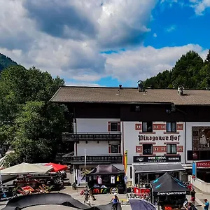 Отель Pinzgauerhof - Inclusive Evening Dinner And Joker Card In Summer, Зальбах-Хинтерглемм